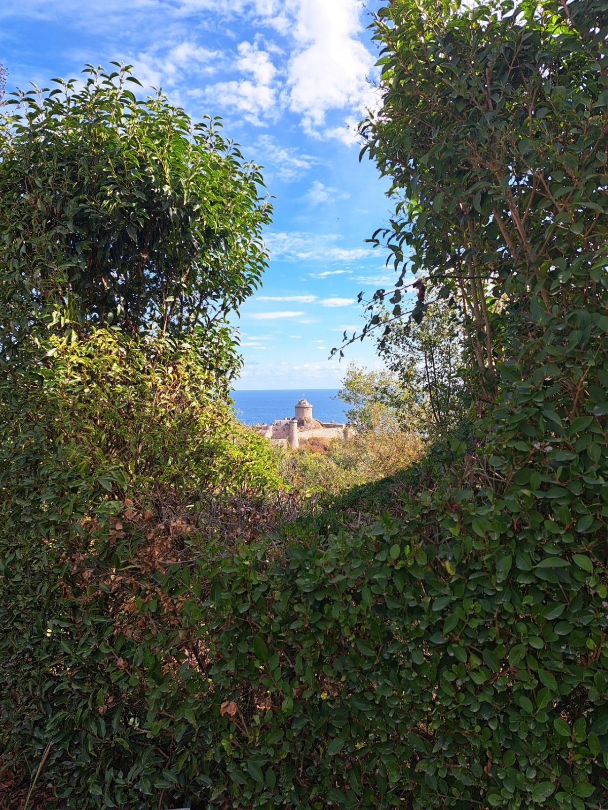 Fort la Latte